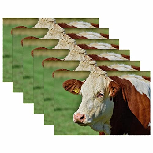 Sets de table rectangulaires 30x45cm bétail et vache pour salle à manger