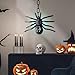 Decoraciones De Araña para Halloween Imagen de Decoraciones De Araña para Halloween