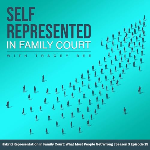 Going Pro Se in Family Court? What You Need to Know Before Hiring a Lawyer | Episode 19