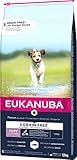 Eukanuba Welpenfutter getreidefrei mit Fisch für kleine und mittelgroße Rassen - Trockenfutter ohne Getreide für Junior Hunde, 12 kg