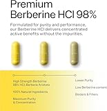 Sacred Summit Pure Berberine 500mg – 10:1 Extract (5000mg Equivalent) – Vegan Capsules Made in UK – Premium Plant-Based Supplement for Everyday Balance and Vitality – 90 Capsules - Image 8