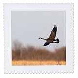 Square dimensions (in inches): 6 L x 6 W, image dimensions (in inches): 4 L x 4 W 100% poloyester; image is soft to touch. Made in USA Edges have pinking shear cut Image will not fade with washing. Image not a transfer, part of material