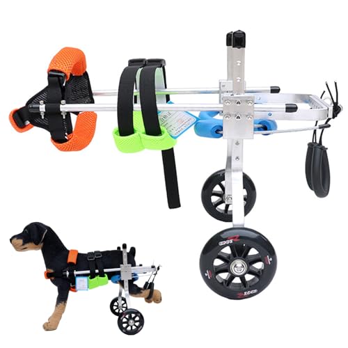 Fauteuil roulant pour chien handicapé et orthèse de patte arrière réglable légère