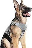 Máximo Control Y Seguridad: rabbitgoo arnes antitirones perro cuenta con 2 anillos de metal para paseos más seguros: el frontal para control sin tirones o adiestramiento de perros, y el posterior para caminar de manera informal. Asa superior reforzada ayuda de elevación fácil en situaciones peligrosas