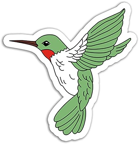 Latest item Hummingbird Free shipping on posting reviews Sticker Cool Bird Waterbottle Stick Stickers