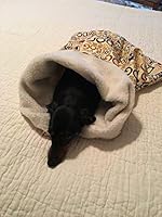 Algopix Similar Product 20 - Small Dog Dachshund Dog Dog Dog Print