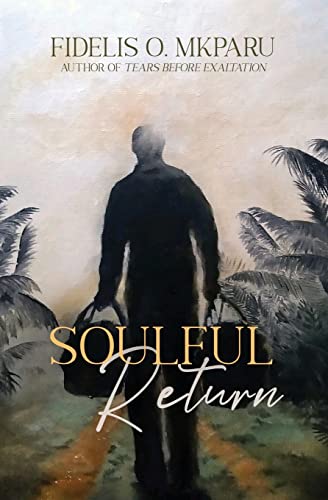 Soulful Return view 2