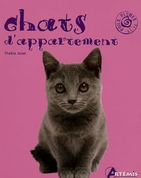 Paperback chats d'appartement [French] Book
