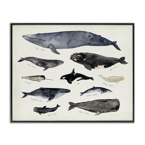 Vintage Nautical Chart of Whales Ocean Life wall plaque