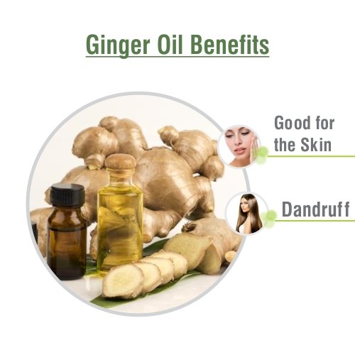 Image of Crysalis Ginger (Zingiber Officinale) 100% Pure & Natural Undiluted Essential Oil Organic Standard /Oil For Dry Scalp And Rough skin /Massage Oil for Face & Body -50ML With Dropper