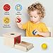Adena Montessori Wooden Toy for 6-12 Month Baby 3 Balls,Object Permanence Box with red Door Colorful Learning Education Toy for Toddler Kid 1-2 Year Old, Preschool Girl and Boy Gift Full Size Typical