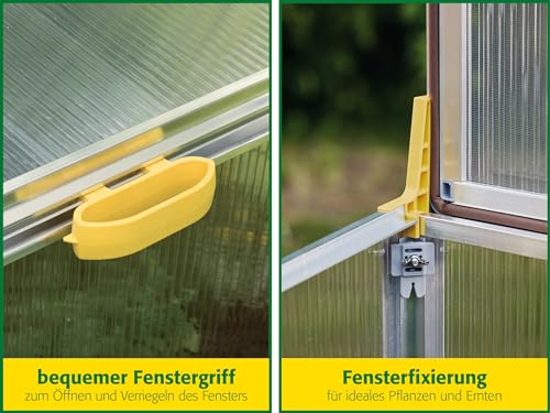 JUWEL Beetsystem Bio Protect 2000 (Frühbeet aus wärmeisolierenden Thermoscheiben, zur Aufzucht von Pflanzen, mit integriertem Schutznetz gegen Insekten) 20148