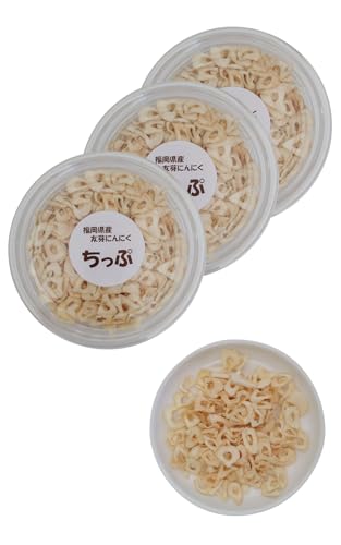 \ tChK[bN jjN ɂɂXCX K[bN`bv K[bN`bvX Fɂɂ ɂɂ`bvX Y _ Y (3Zbg, REGULAR)