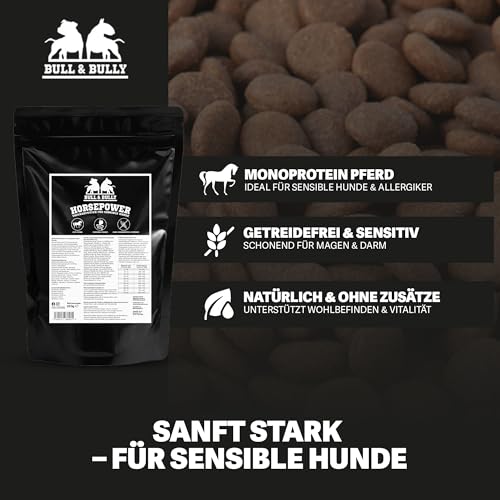 BULL & BULLY – Big Bully Horsepower 250g Hundefutter Trocken Getreidefrei – Hundefutter & Hundeleckerli Pferd Pur – Pet Hunde Leckerlis Pferd & Hundesnack für empfindliche Hunde & Senioren