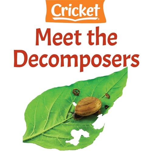Meet the Decomposers by Anisha Yagnik episode artwork