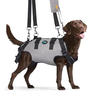 Ownpets Dog Lift Harness, Outdoor Lifts Vest Recovery Sling for Full Body Support, Adjustable Pet Sling with Reflective Straps,Rehabilitation Vest to Dogs Suffering from Joint Injuries, L