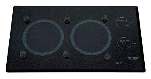 bateauplus BURNER DOUBLE FEUX LITE-TOUCH 110V ENCASTRABLE