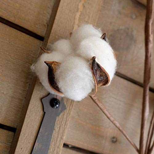 Idyllic Pack Of 6 Cotton Stems thumb #3