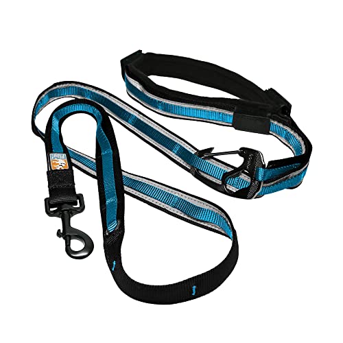 11. Kurgo Quantum 6-in-1 Dog Leash