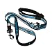 Kurgo 6 In 1 Hands Free Dog Leash | Reflective Running Belt Leash for Dogs | Crossbody & Waist Belt Leash | Carabiner| Padded Handle | for Training, Hiking, Or Jogging | Quantum Leash (Coastal Blue)