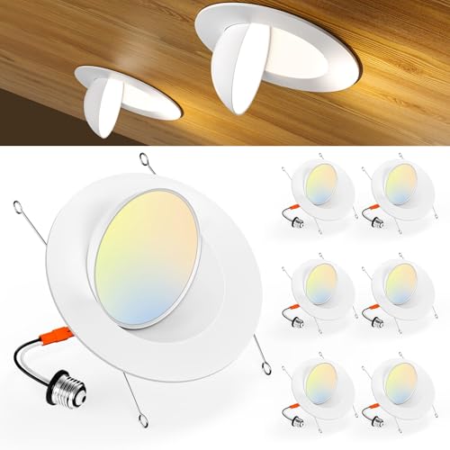 Amico Eyeball Gimbal Retrofit Can Lights