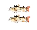 2 Set´s Elektrischer Fischköder | Angelköder elektrisch | Lebend-köder Angeln | Kunstköder für Forelle, Hecht, Zander & andere große Fische lebend | Angelköder Set | Angel Köder - (Set 2)
