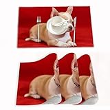 Fabriqué avec des matériaux de haute qualité, principalement du PVC et du polyester, ce qui lui confère une plus grande durabilité et résistance que s'il s'agissait du matériau qu'il simule. Il est malléable et résiste à la chaleur jusqu'à 80°C.