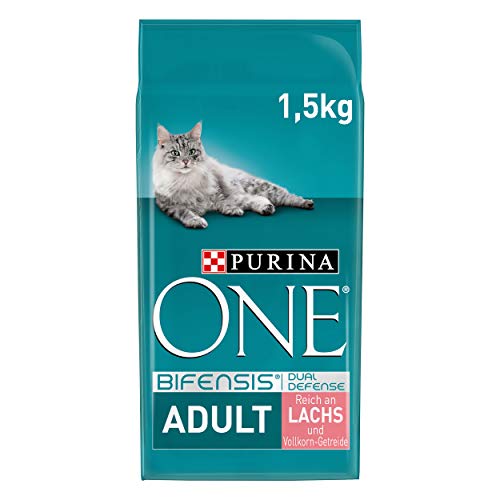 Purina One BIFENSIS Volwassen Kattenvoeding, Droog, Rijk aan Zalm, Versterkt Natuurlijke Afweersysteem voor Gezonde Botten, Huid en Tanden, Vanaf 1 jaar, 6 x 1,5 kg