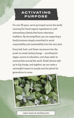 Image of Numi Organic Throat Soother Tea, 48 Herbal Tea Bags, Caffeine Free