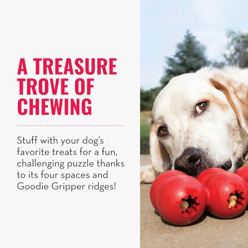 KONG Goodie Ribbon - Befüllbares Hundespielzeug aus Naturkautschuk - Kauspielzeug in Knochenform - Für Kleine Hunde