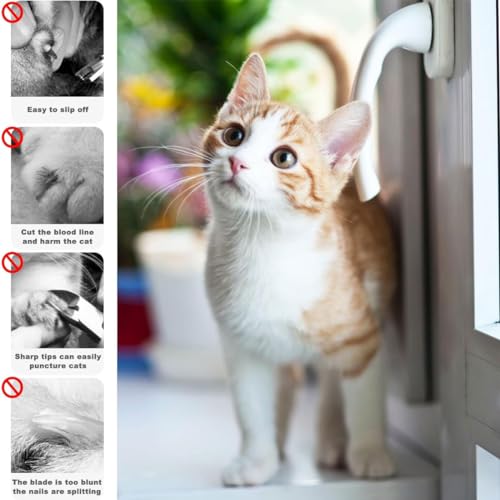 BZKSER cortauñas Gato - 1 pcs Cortaúñas Gatos Profesional de Acero Inoxidable,Tijeras Gatos uñas,Gatos Accesorios,para Perros Mascotas Pequeños y Conejos,Conejillos de Indias - imagen 4