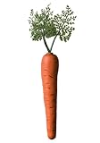 Forum Novelties Fake Carrot