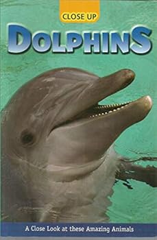 Paperback Close up Dolphins Book