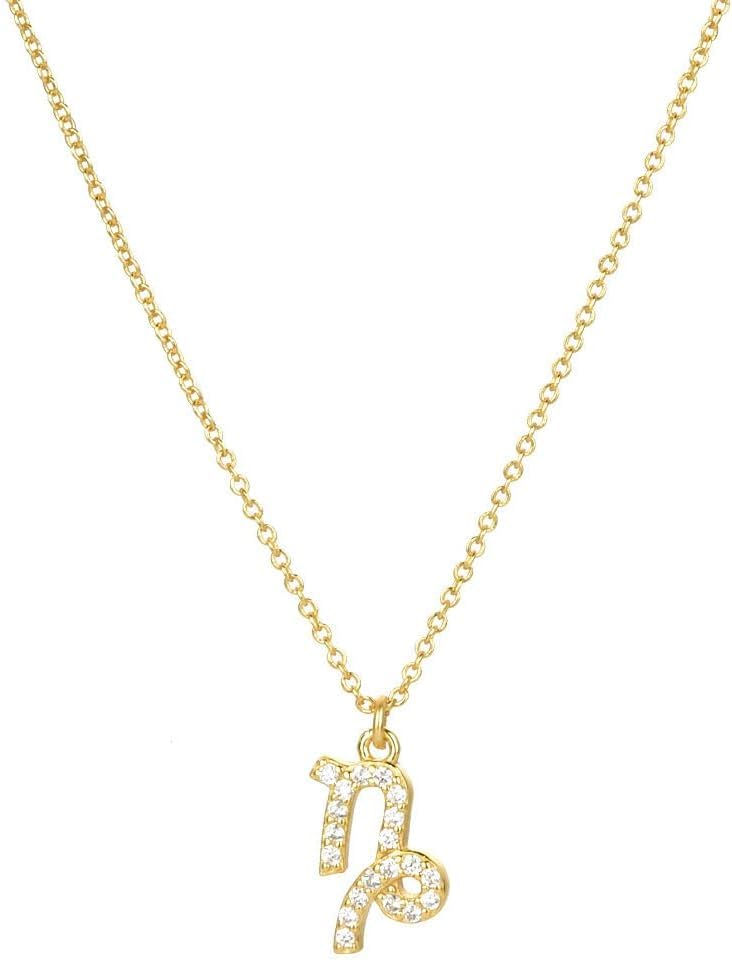 Collier en Argent Sterling et zircone éclatante, un bijou de zodiaque raffiné