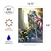 Toland Home Garden 1110236 American Heroes Patriotic Flag 12x18 Inch Double Sided Patriotic Garden Flag for Outdoor House 44815 Flag Yard Decoration