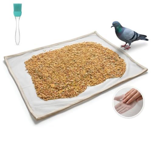 Image of FREE Oil Brush with XULCU 40 x26 cm Large Pure Cotton Papad & Vadagam Drying Cloth, Protective Zipper Net Cover, Reusable Breathable Sun Drying Sheet for Spices, Millets & Grains, Pack of 1 (WHITE)