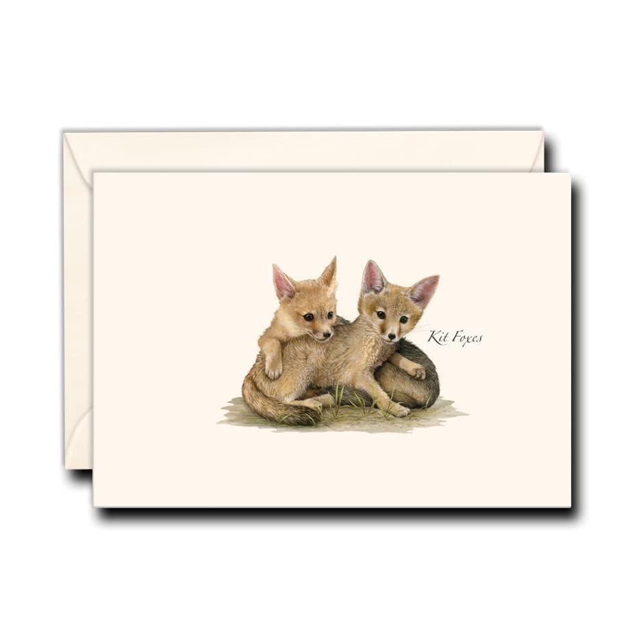 Image of Earth Sky + Water - Kit Foxes Notecard Set - 8 Blank Cards with Envelopes