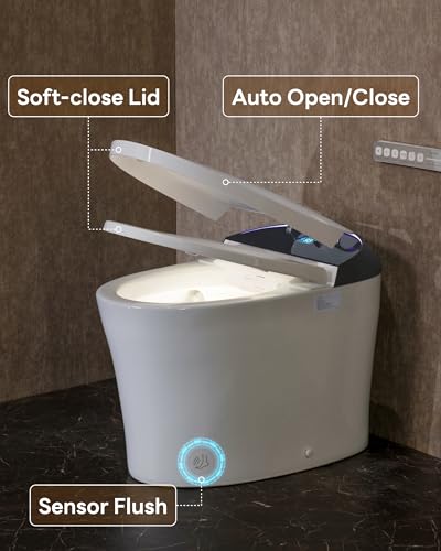 Luxury Smart Toilet with Bidet and Dryer