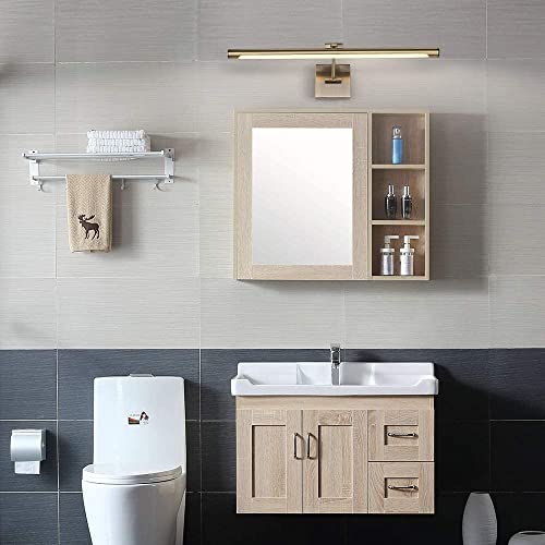 Joosenhouse Modern Led Picture Lights Dimmable 24.4" Inch Antique Bronze Picture Lighting For Paintings Swing Arm With Rotatable Sconces Wall Lamp, 14W (70W Eqv.), Hardwired Connection,Warm White #TOP6