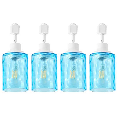 AIBISOD 4 Pack H Track Lighting Heads with Blue Hammered
