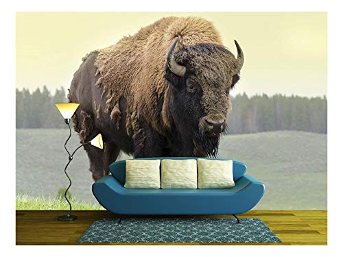 wall26 - Bison in Grasslands of Yellowstone National Park in Wyoming in The United States of America - Removable Wall Mural | Self-Adhesive Large Wallpaper - 66x96 inches