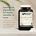 Standard Process Calcium Lactate Bone & Immune Health Dietary Support - Vegan, Gluten-Free, Non-Dairy, Non-Soy & Non-Grain - Bone, Joint & Health Support - 360 Tablets