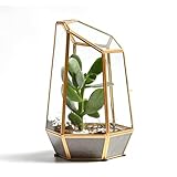 Golden Geometric Glass Terrarium with Door - 9.8' Tall Irregular Clear Planter for Succulents,Ferns,Moss,Cacti | Indoor Fairy Garden,Tabletop Display,Wedding Home Decoration (Plants Not Included)