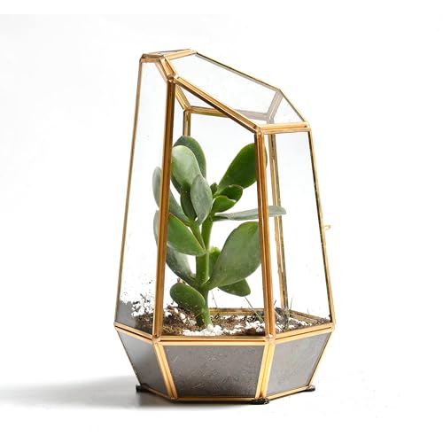 Golden Geometric Glass Terrarium with Door