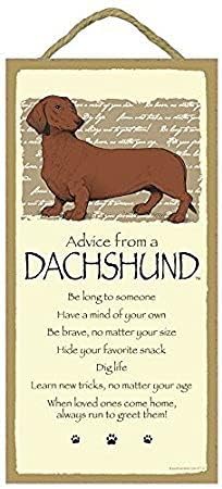 Amazon.com: 5" x 10" Advice from A Dachshund Wood Plaque Inspirational ...