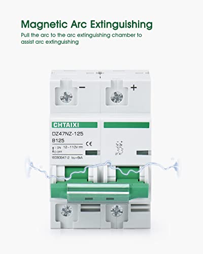 Chtaixi 12V-110V Dc Miniature Circuit Breaker, 125 Amp 2 Pole Battery Breaker Protector For Solar Pv System And Rv, Thermal Magnetic Trip, Din Rail Mount, High Current Dc Disconnect Switch Mcb 2P B125 #TOP3