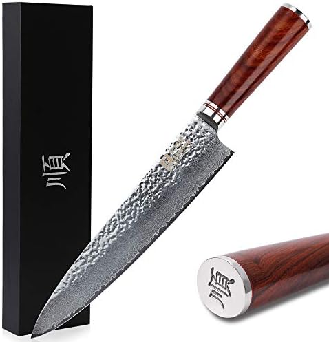 SUNLONG Gyuto Chef Knife 10'' - Japanese Hammered Damascus Steel -Pro Kitchen Knife - Razor Sharp Knife - Natural Bloodwood Handle