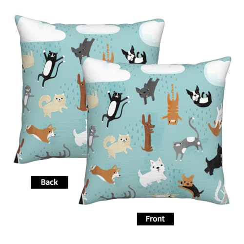Housses de coussin chat et chien EdWal pour décorer le lit - 4