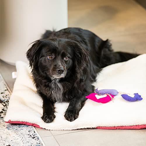 Yunnarl Self-Warming Cat Bed - Convertible Cat Mat, Light Weight Pet Bed For Cats, Puppy Cat Bed Mat, Machine Washable Puppy Bed For Indoor Cats Houses, Floor, Car Back Seat, Pink #TOP7