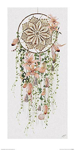 Summer Thornton (Orchid Dreamcatcher 30 x 60cm Art Print